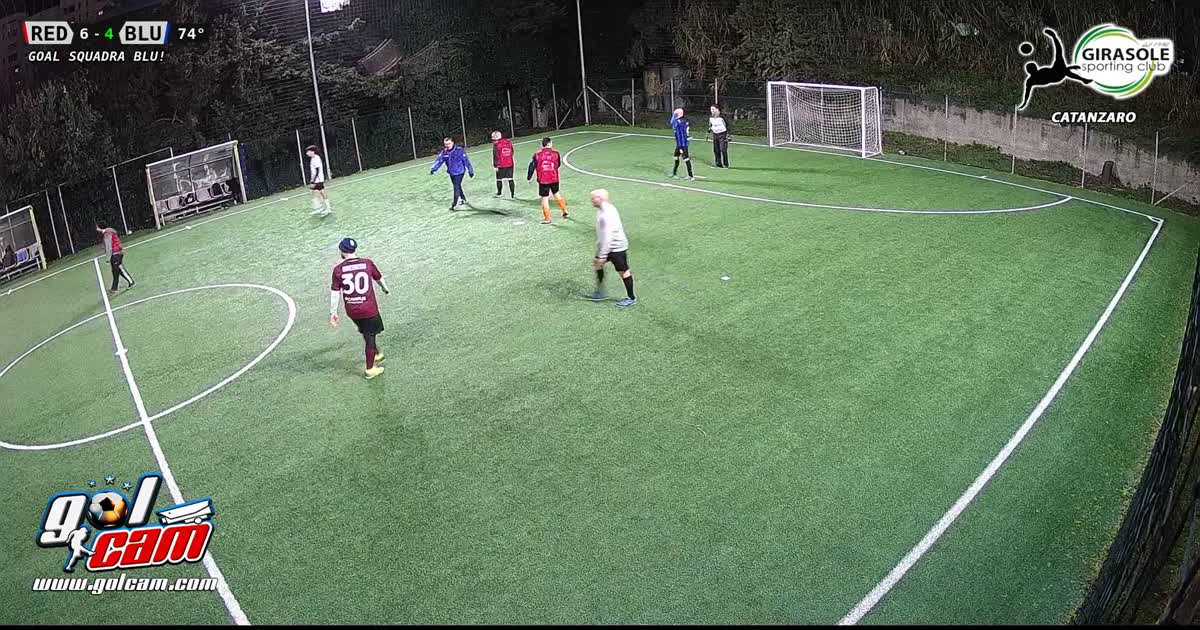 Goal 4
