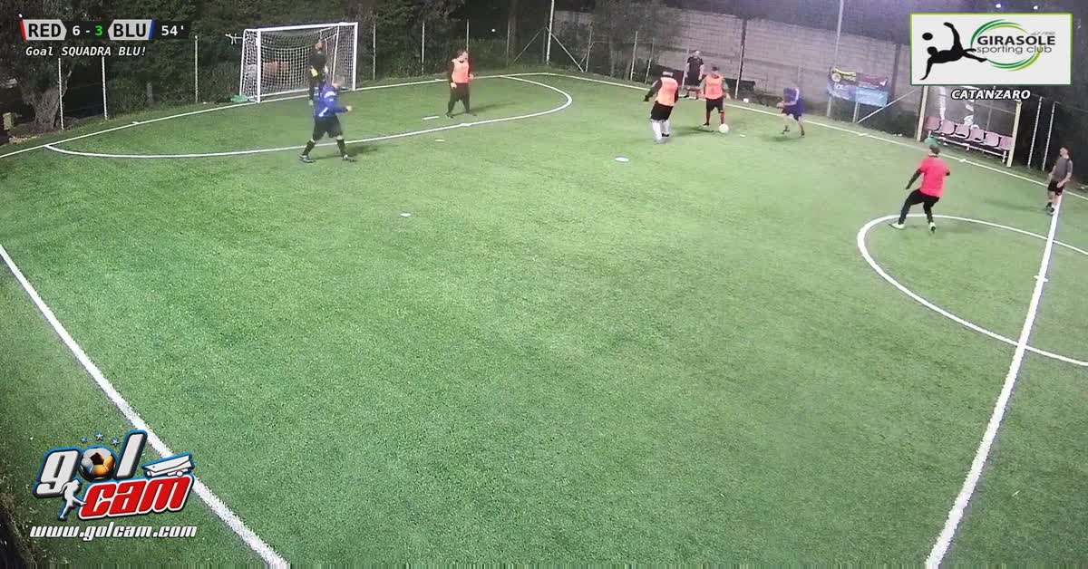 Insomma 