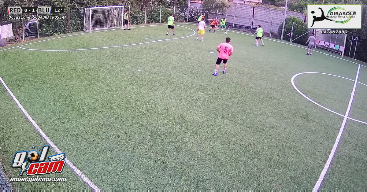 Palo 1