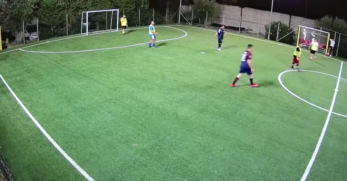 Palo palo
