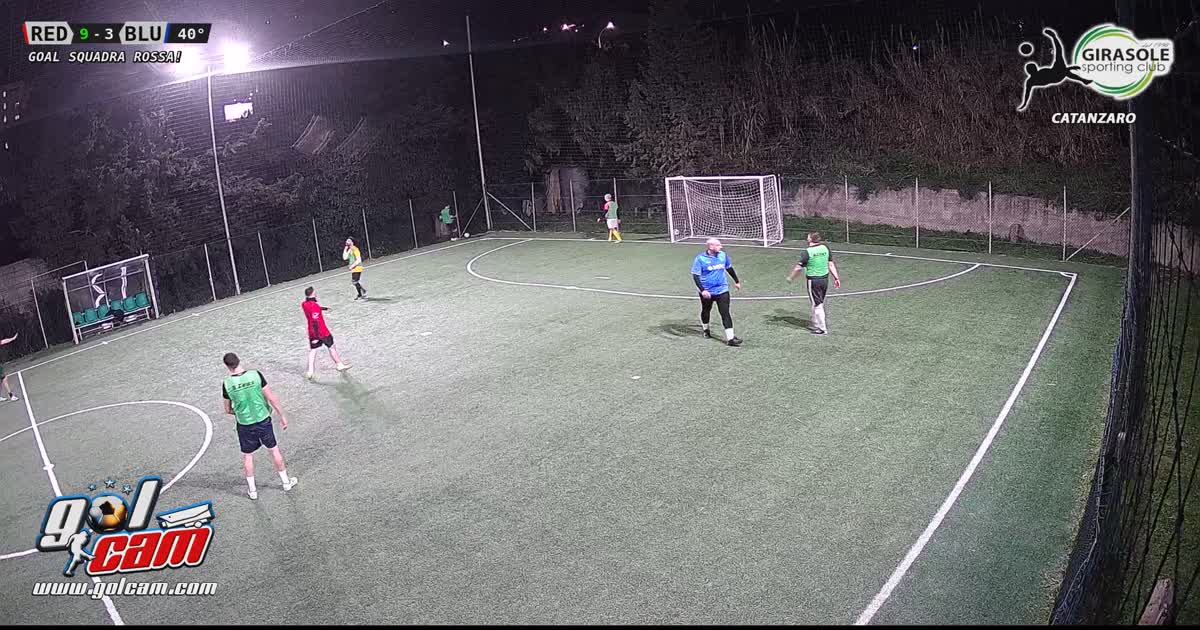 Goal  area