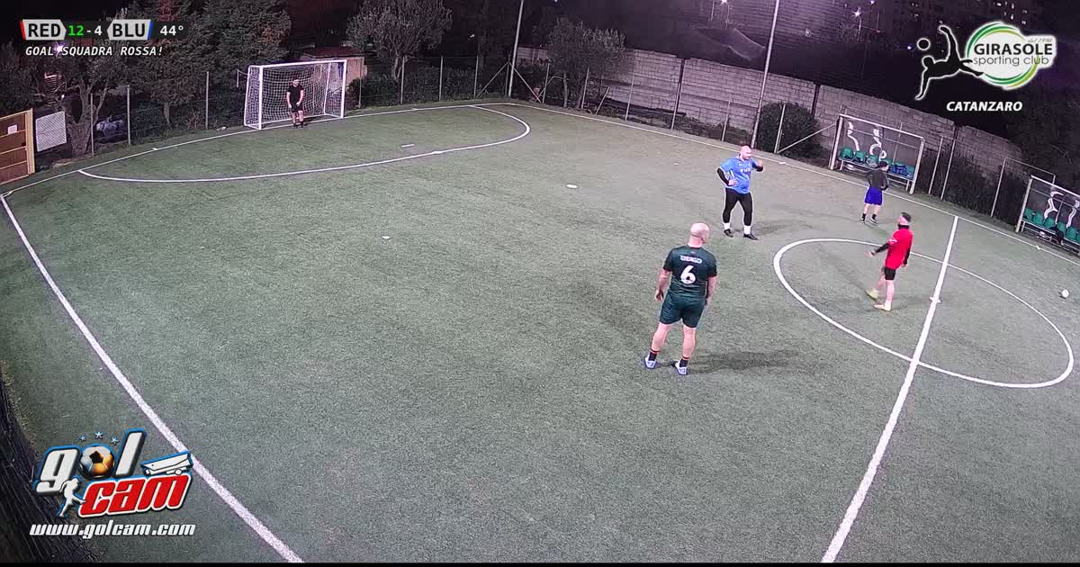Goal area