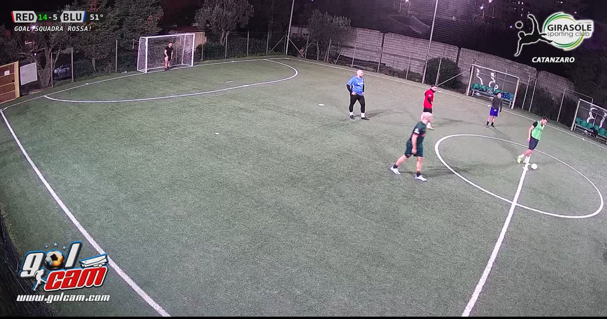 Goal area