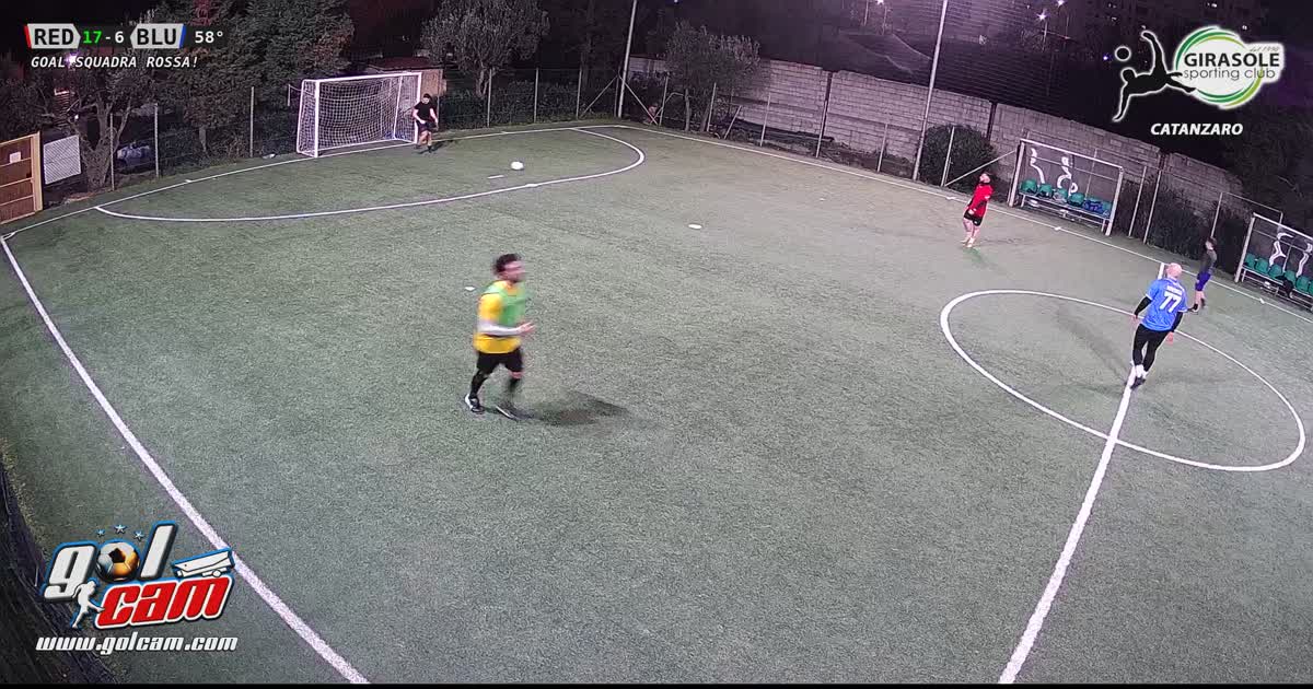 Goal area