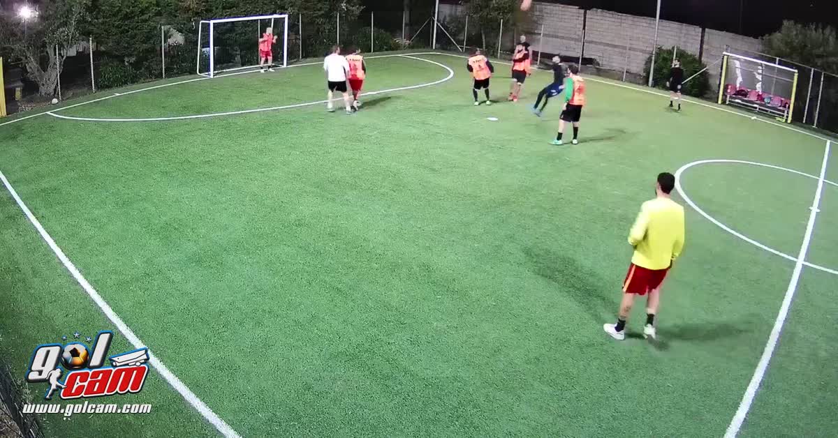 Palo-Gol