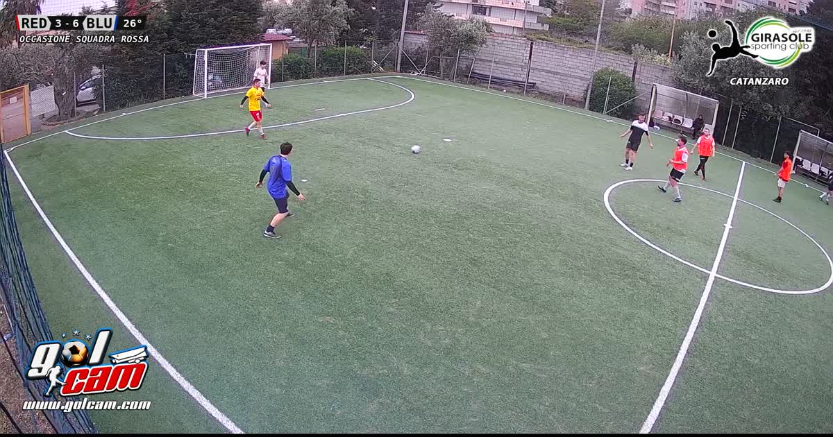 Palo pieno