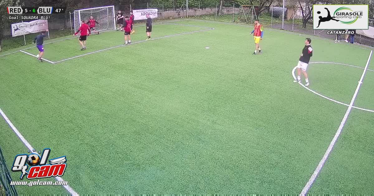 Cobra in gol