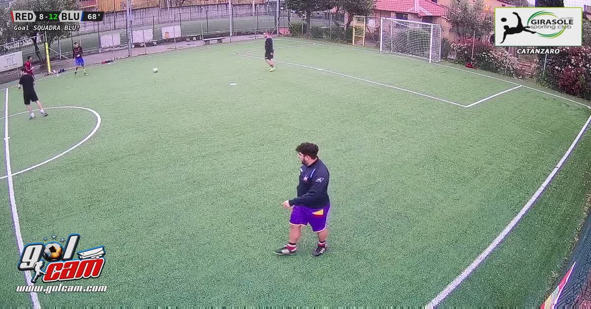 Cobra in gol
