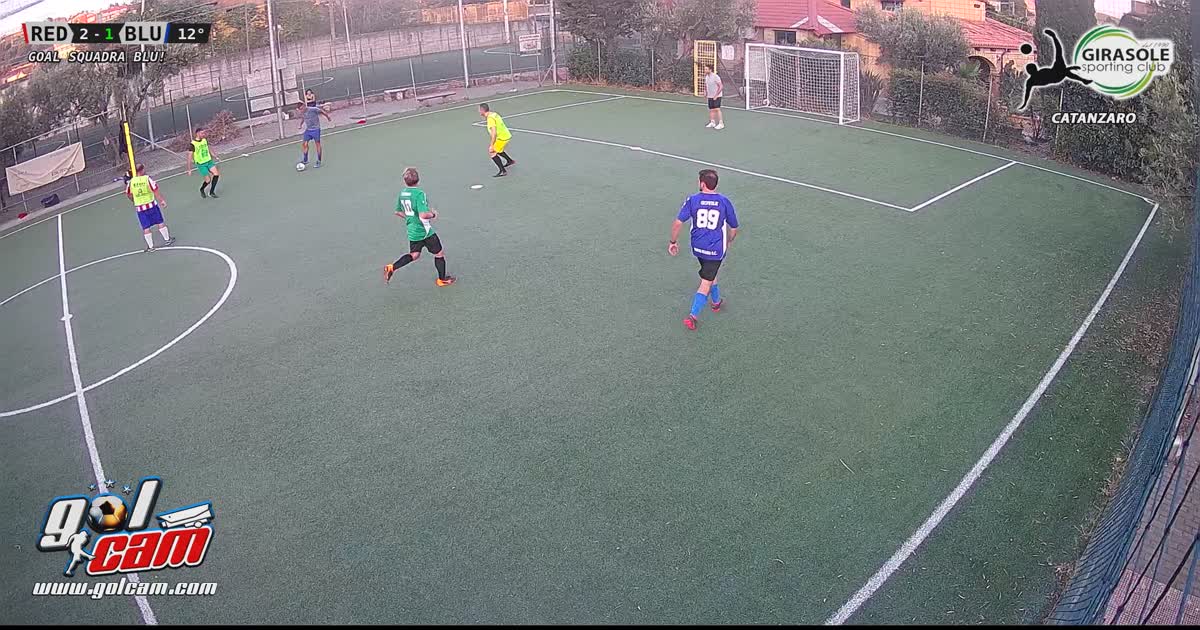 Zampata vincente 