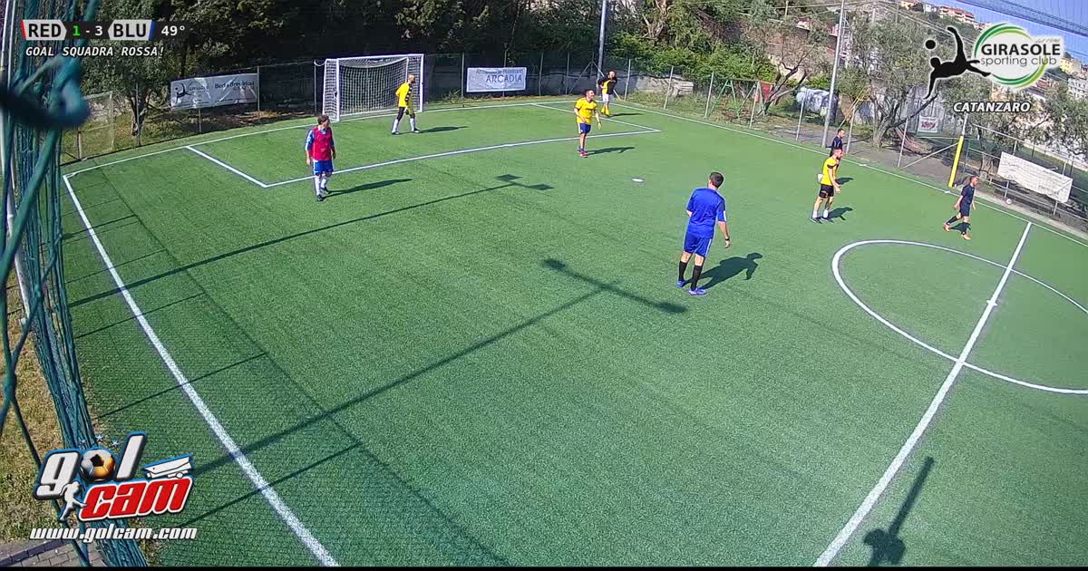 Goal1/3