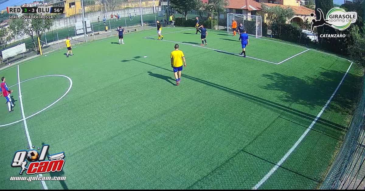 Goal3/3