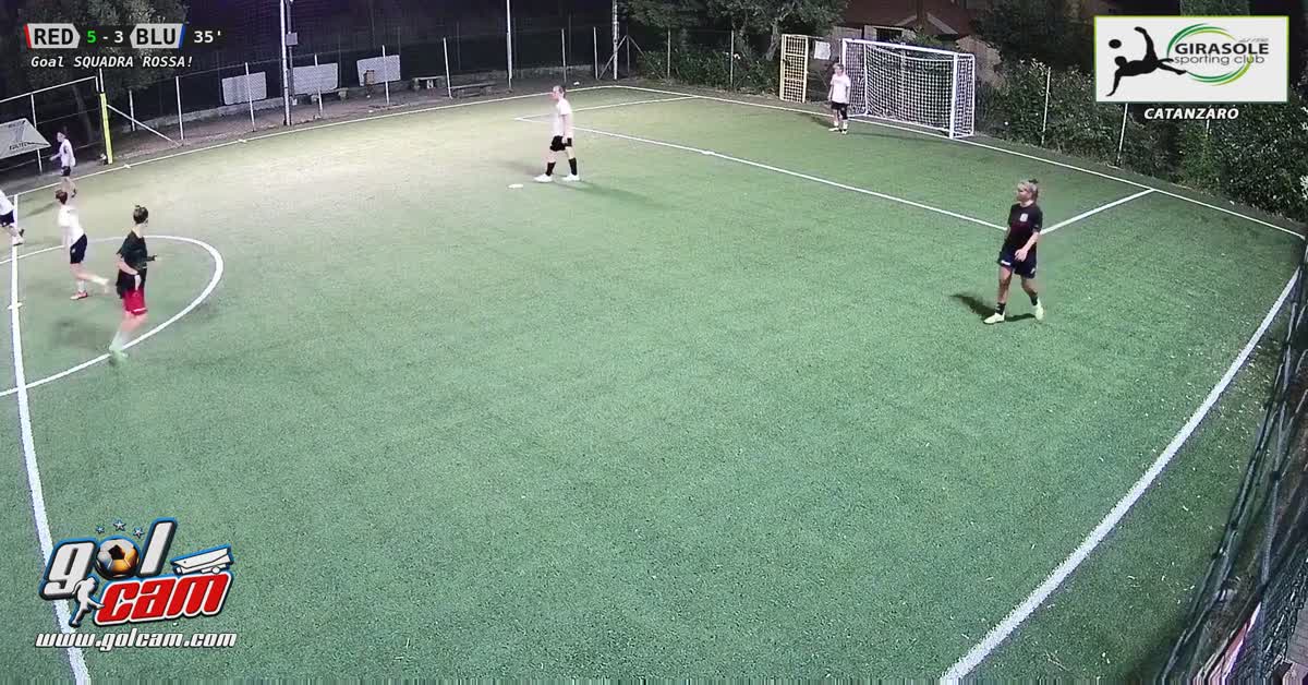 gol mosca