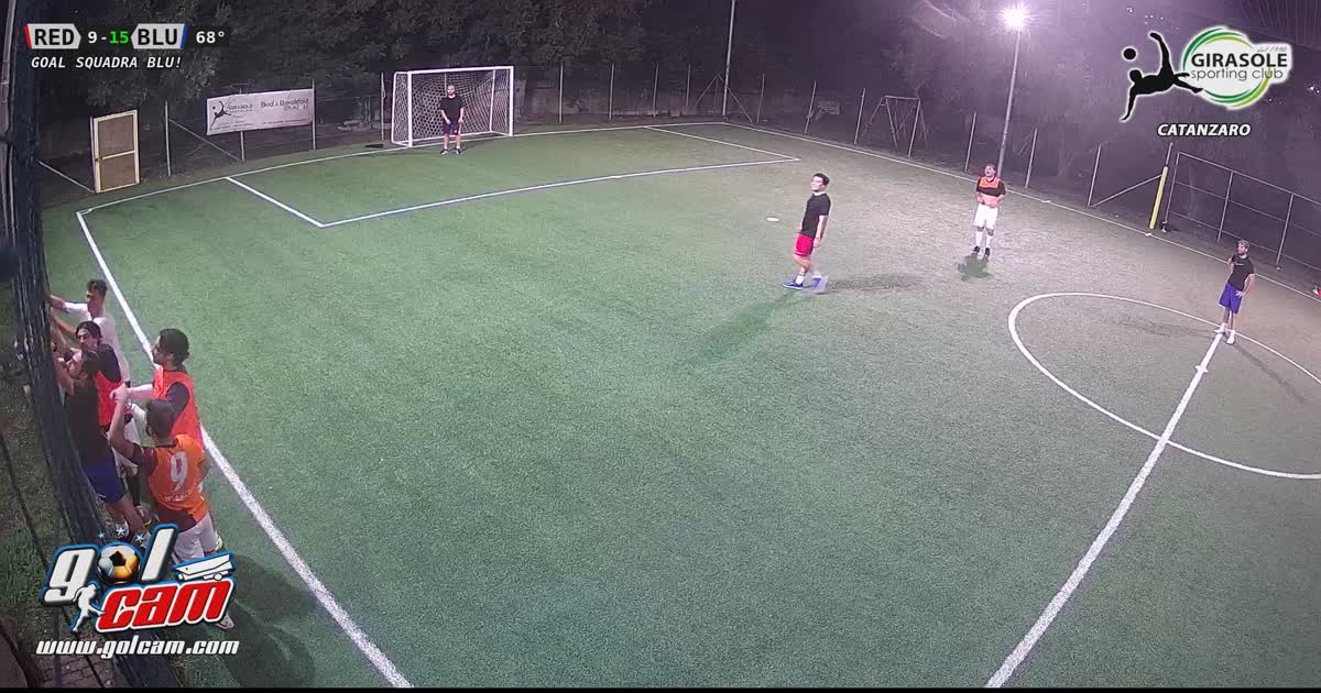Goal 7