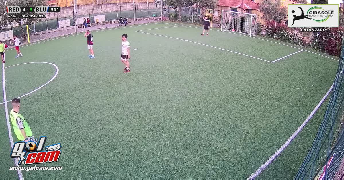gol Kostic