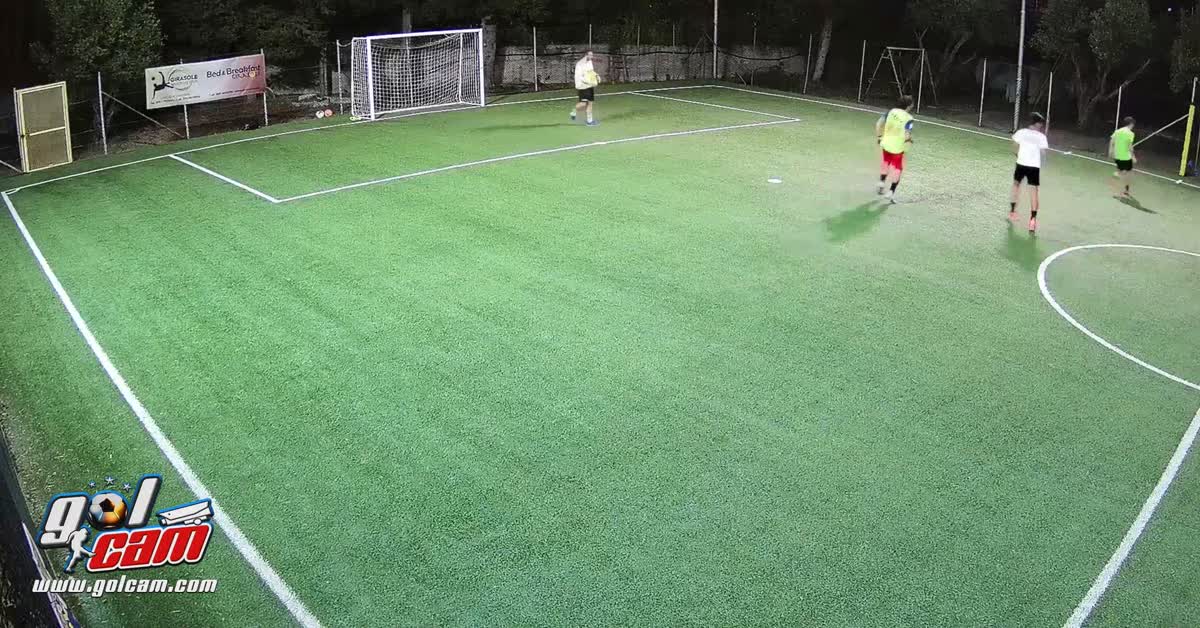 Gol campi girasole