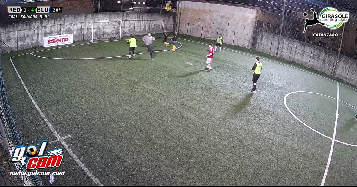 Goal 10