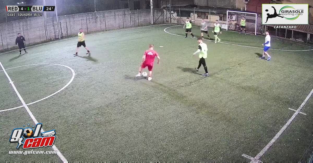 Gol girasole