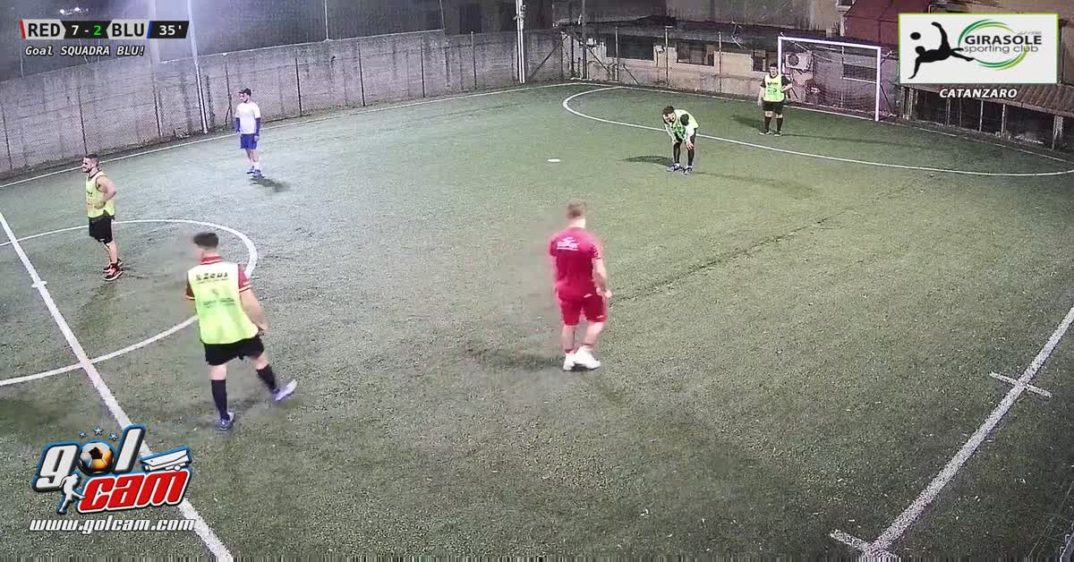 Gol girasole