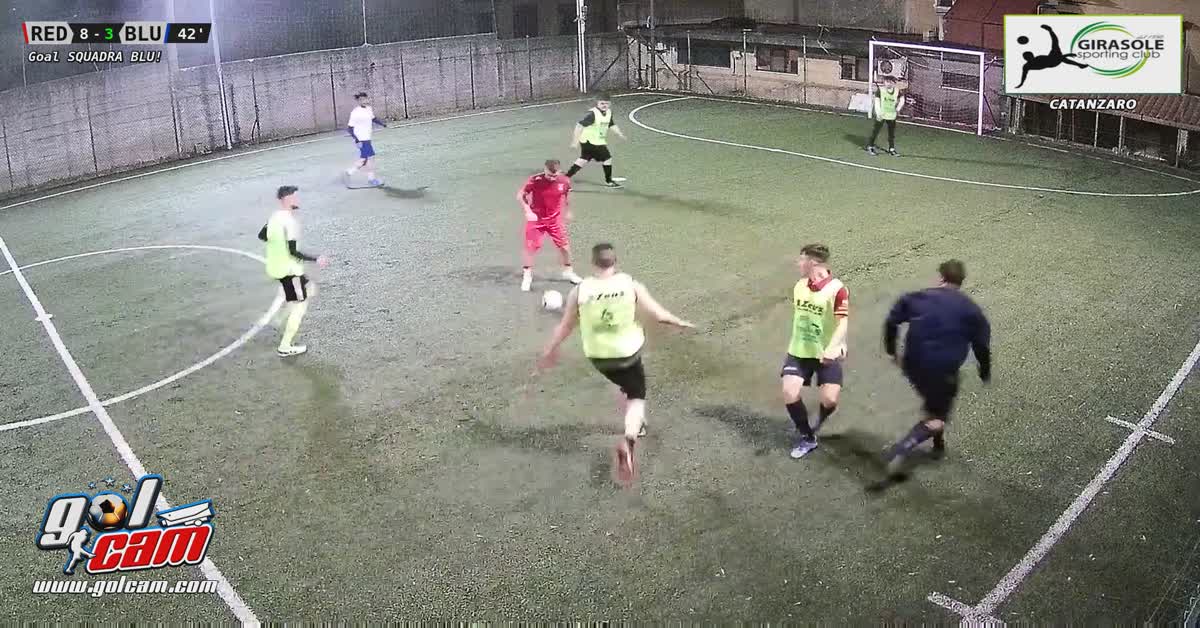 Gol girasole