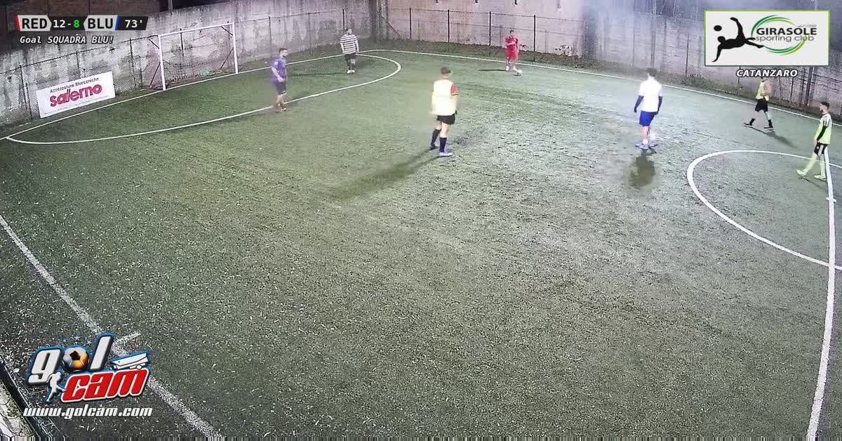 Gol girasole