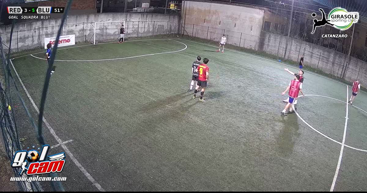 Gol di falco