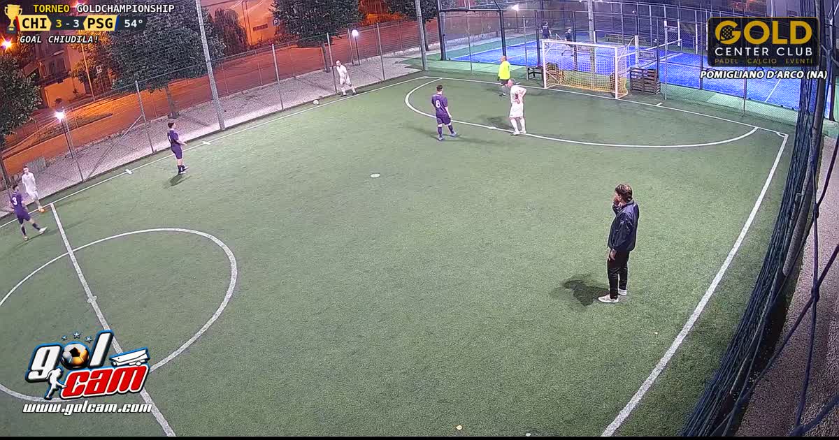 3-3 viola