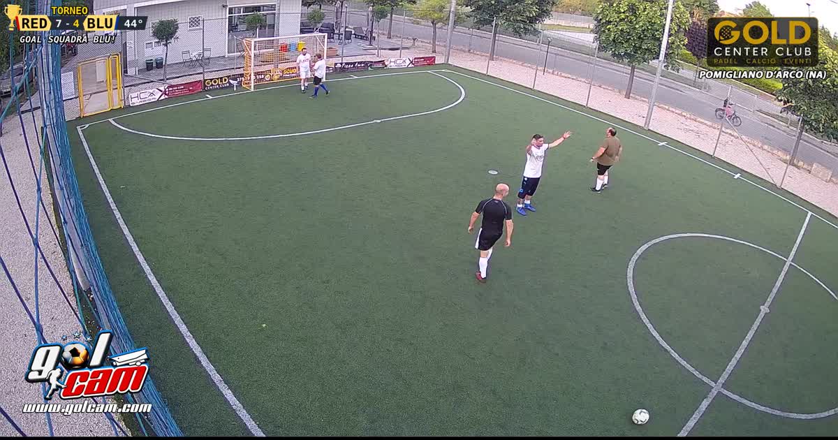 Gallo 3