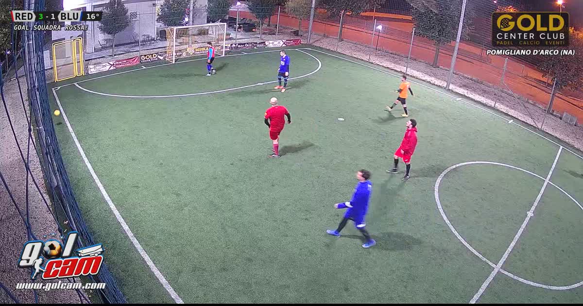 Goal 1