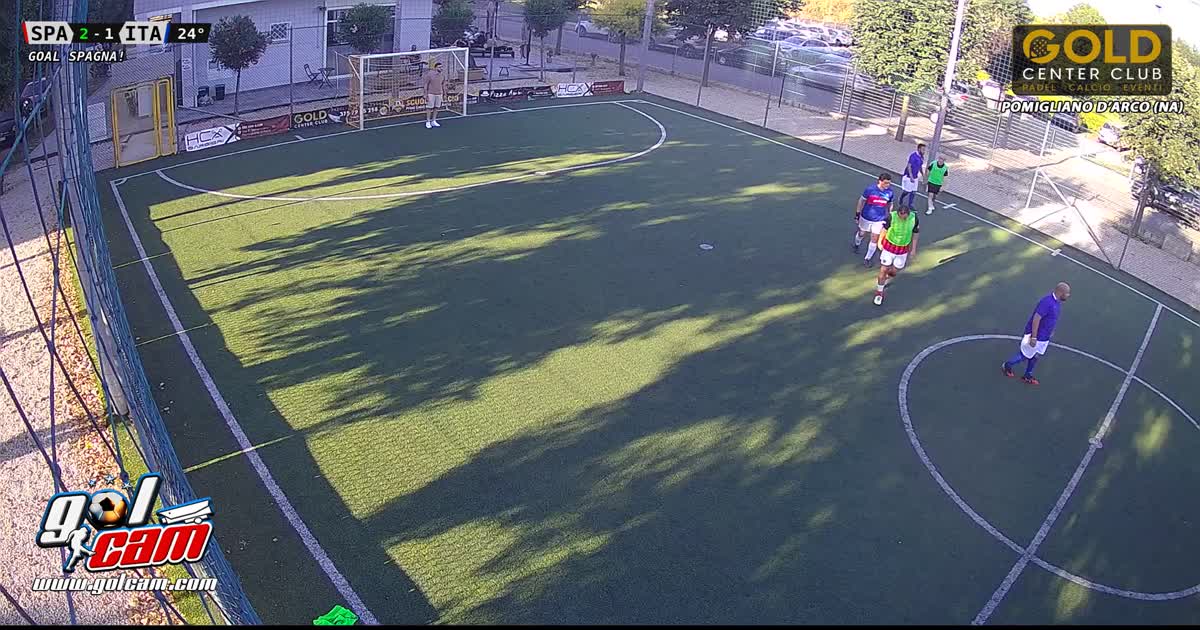 Gallo11