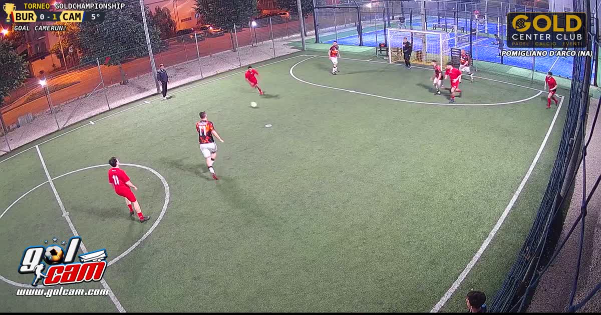 Goal 1