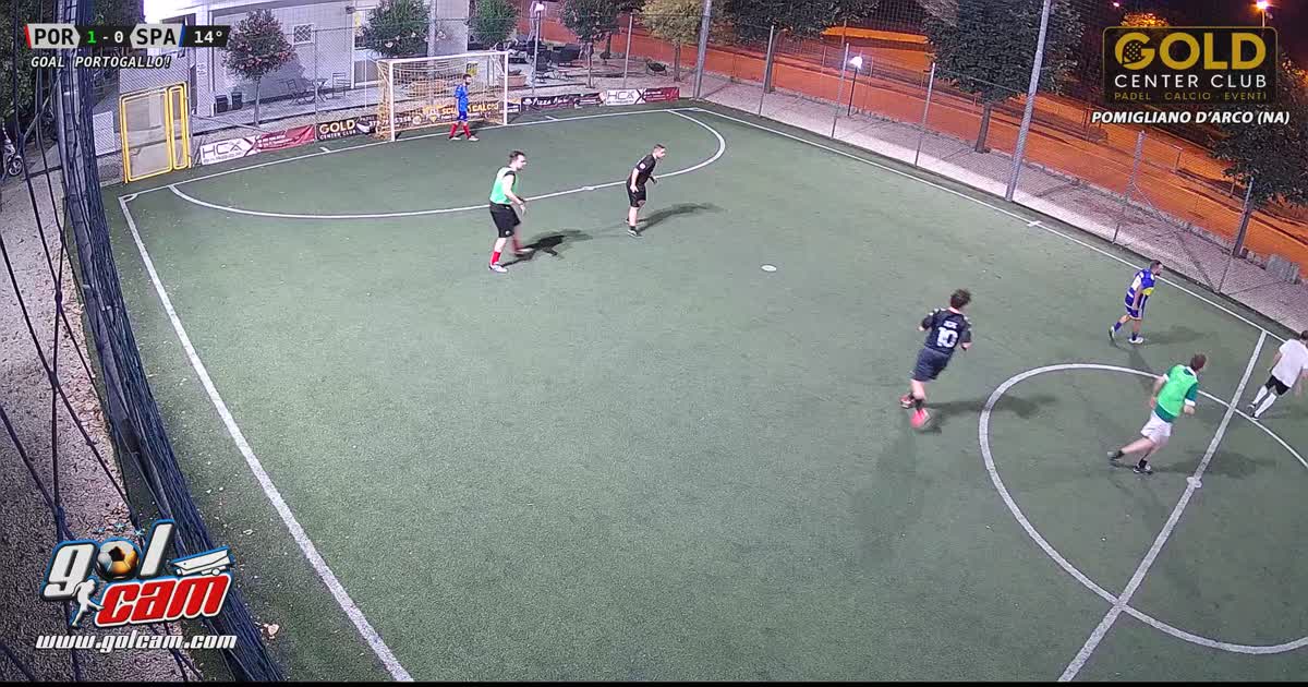 Goal 1