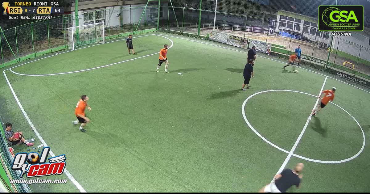 Gol ainis