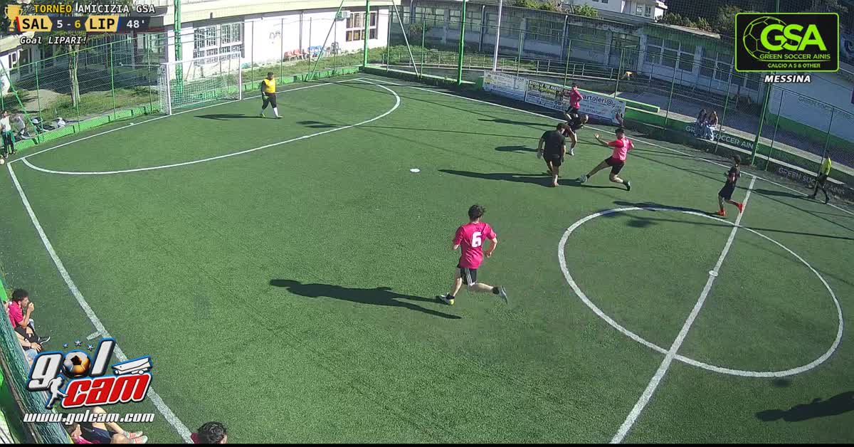 Polis gol