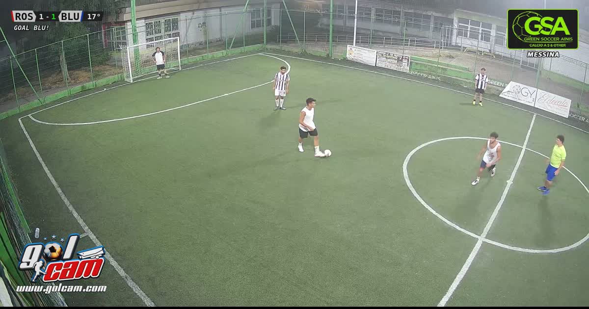 Goal 1