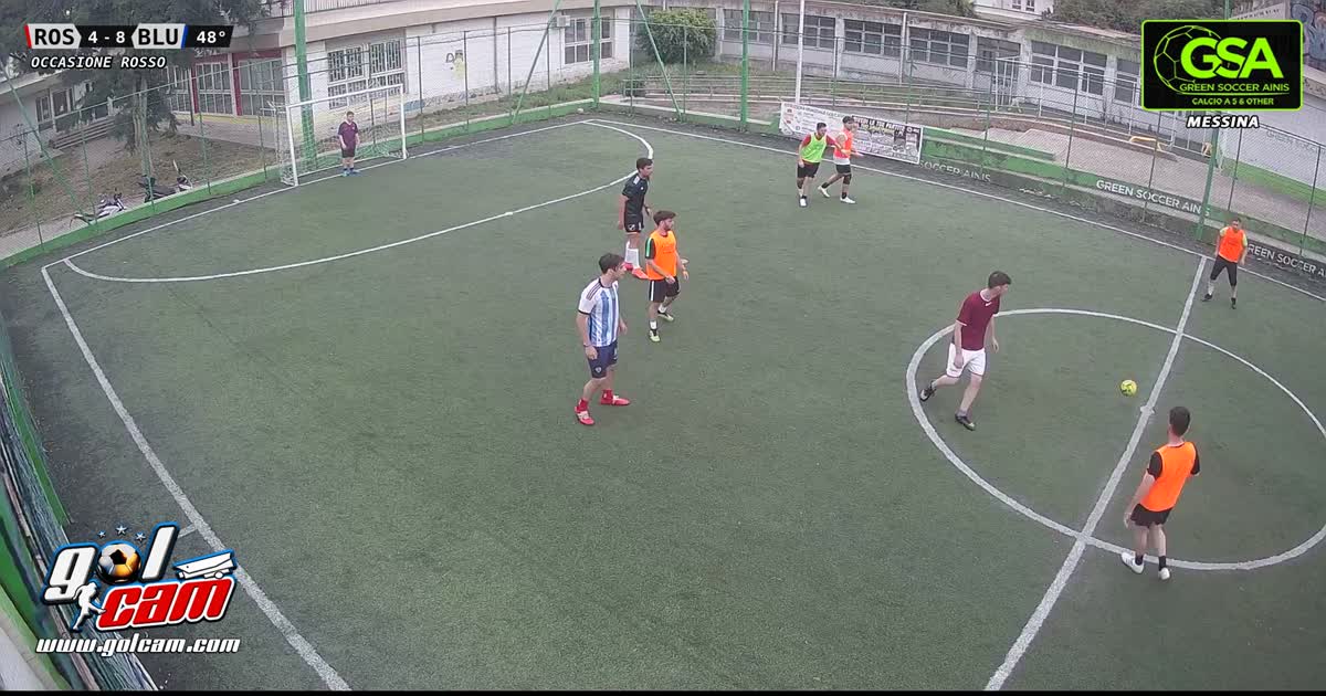 Paul labile pogba?