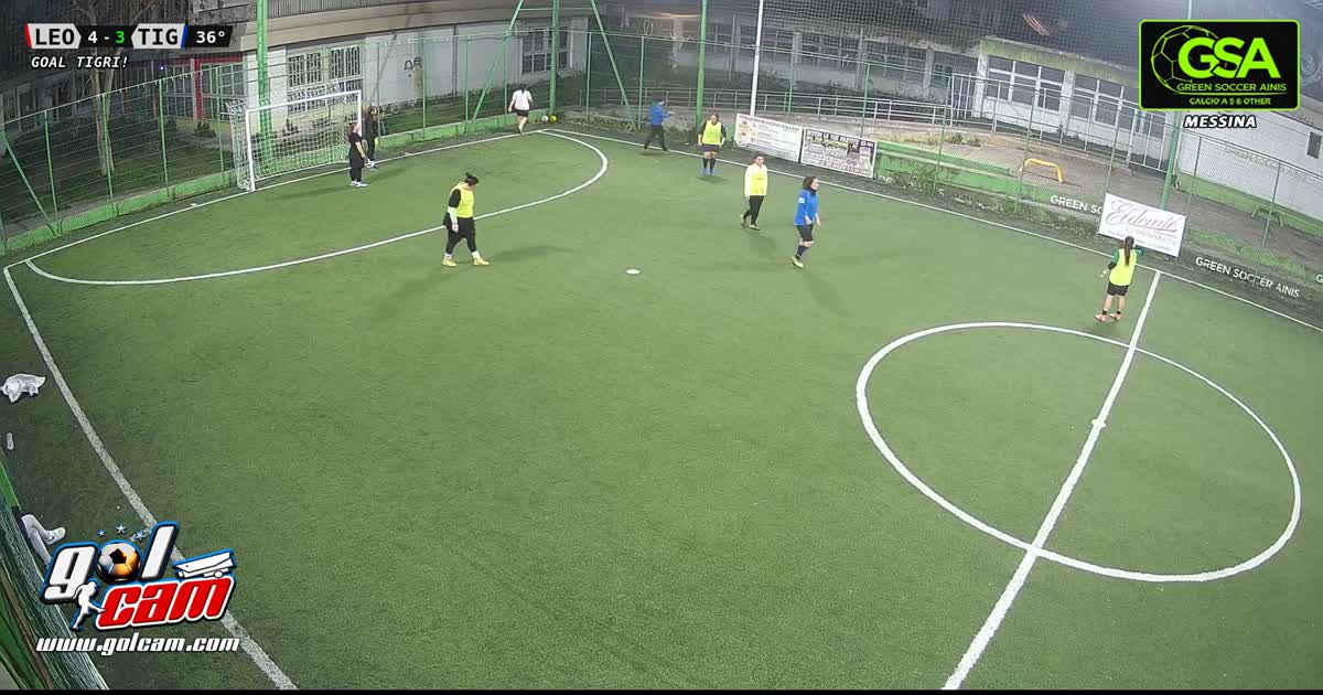 Goal mio