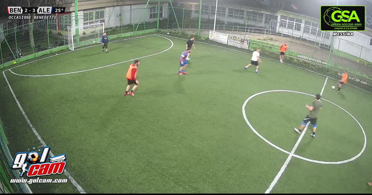 Bradipo in movimento 