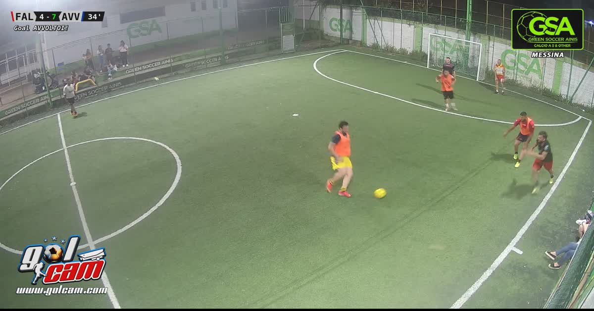 Goal 11
