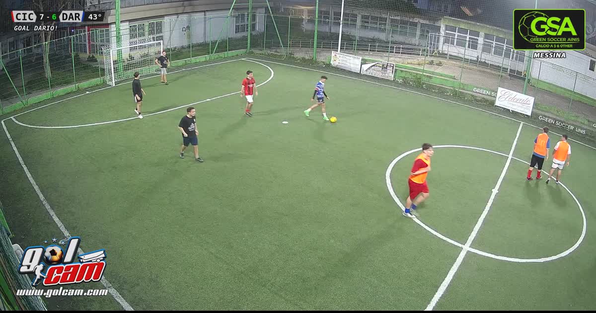 Goal 1