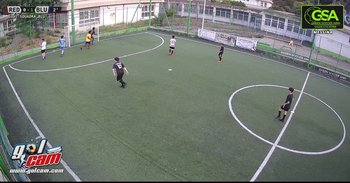 Goal 1