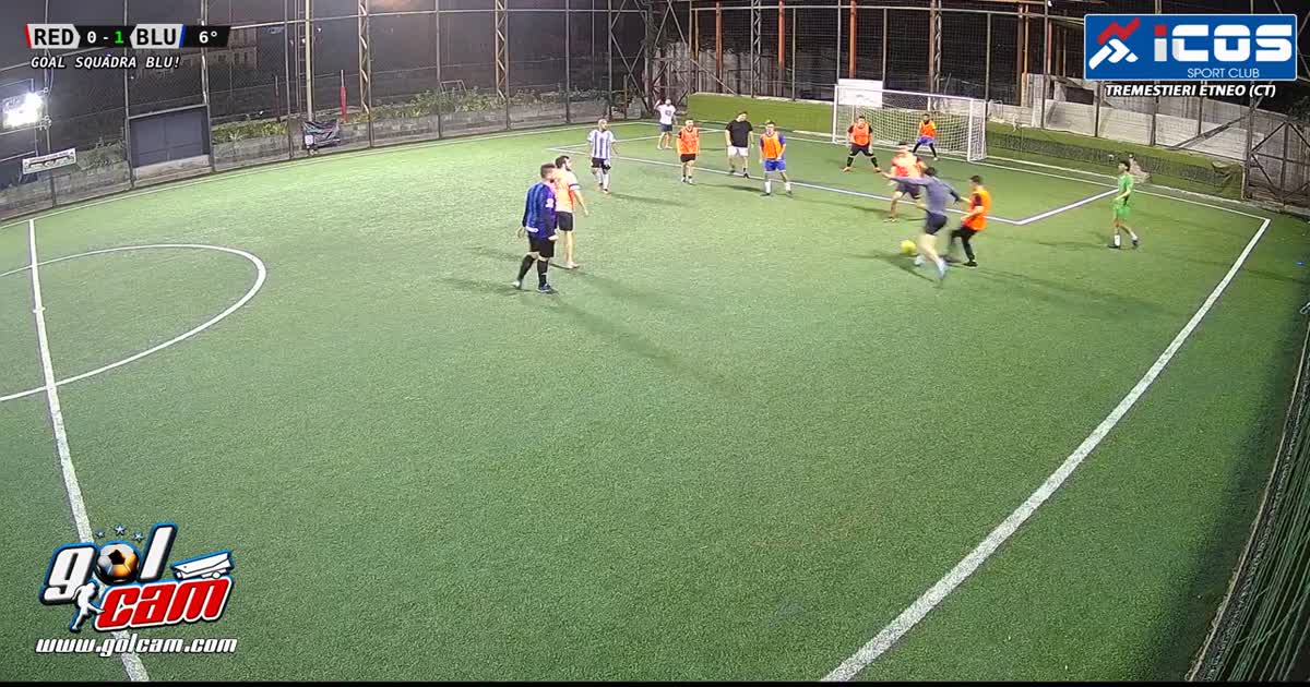 Goal 1