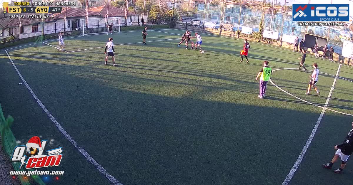 golnumero12