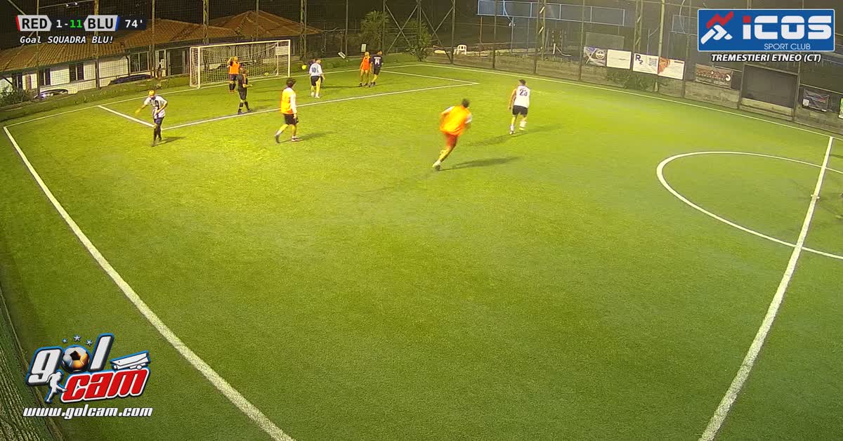 Gol adri