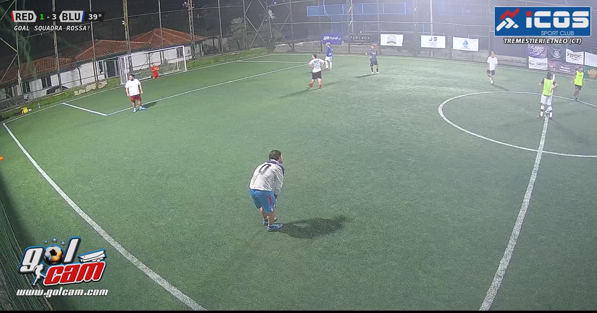 1 goal