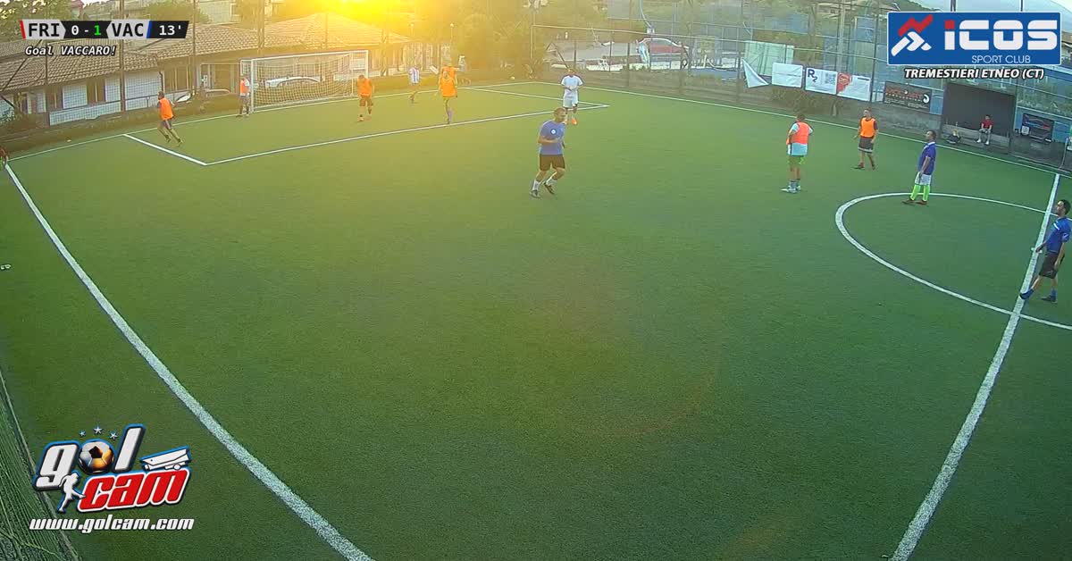 Goal 1