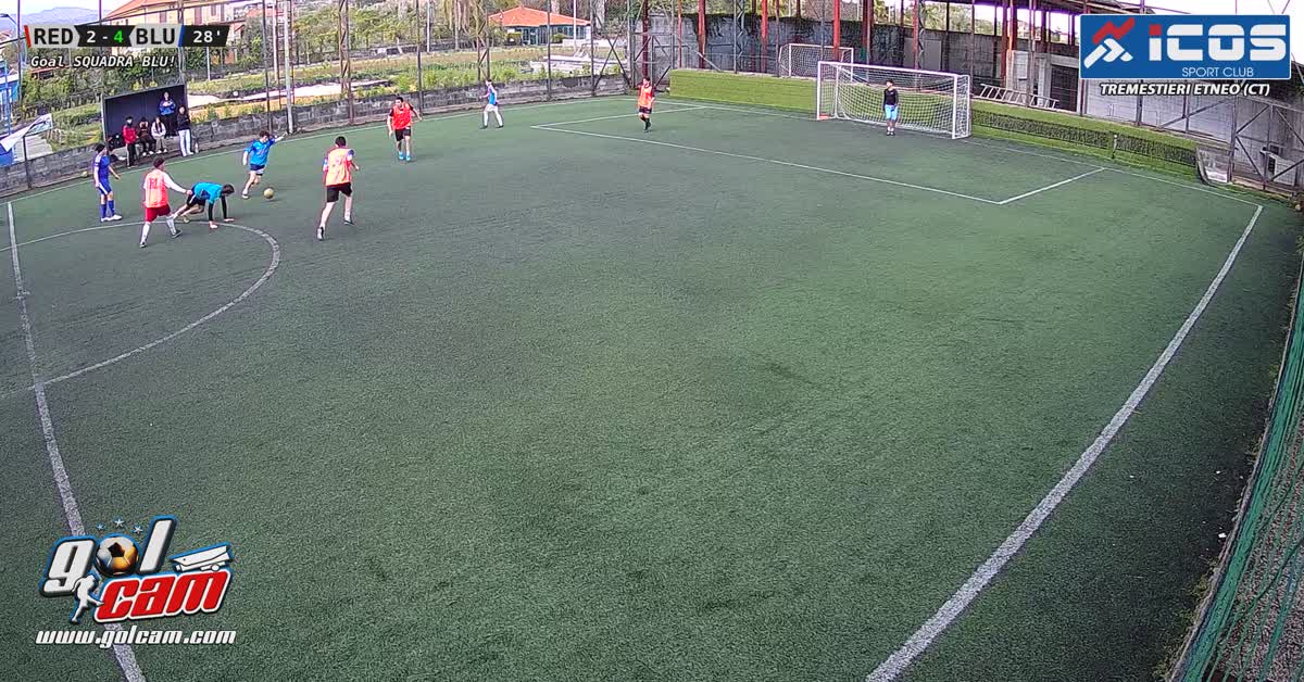 Goal 29