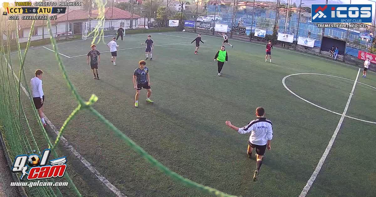 goal 1