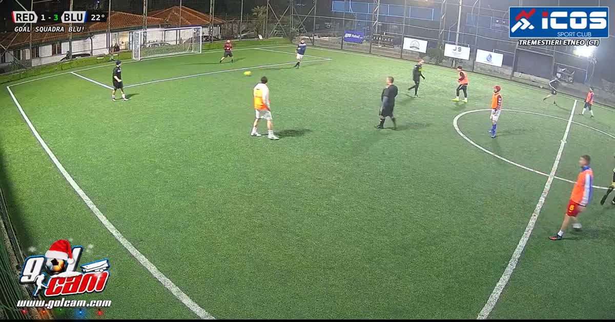 Gol dami