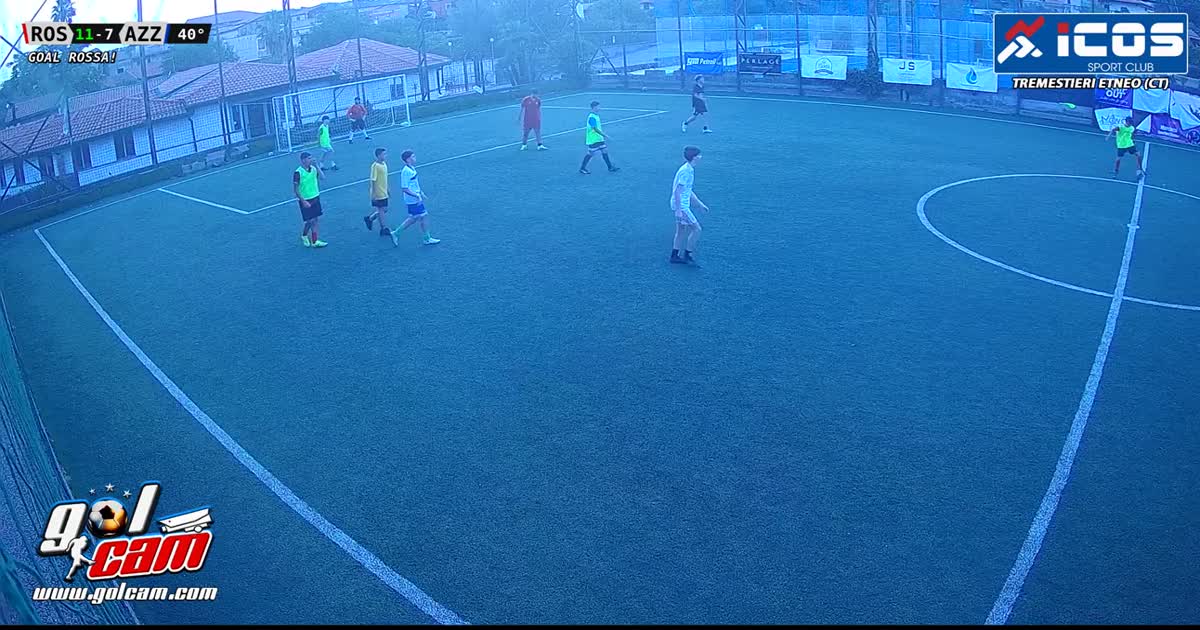 goal 1