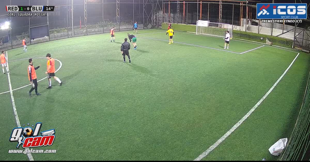 Goal 1